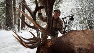 Pending World Record Elk Taken By Bowhunter Casey Brooks