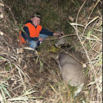 Doe Whitetail Doe In Kandiyohi County Minnesota By Oliver