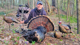 Bowhunting Turkeys: What To Know Before You Go