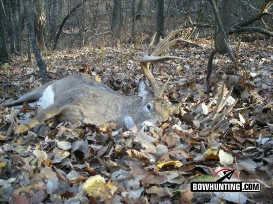 Wisconsin Whitetails; Bob Decker and Heath Tschumper's almost World Records